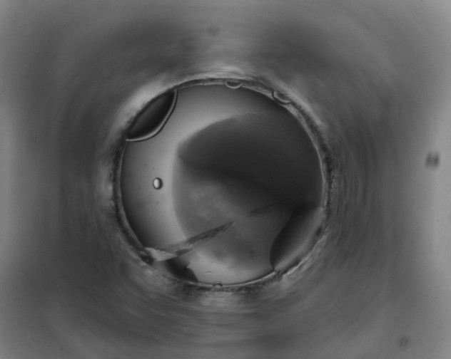 X0000101161455200807111017