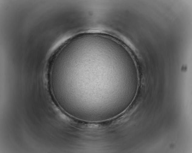 X0000101161456200807111017