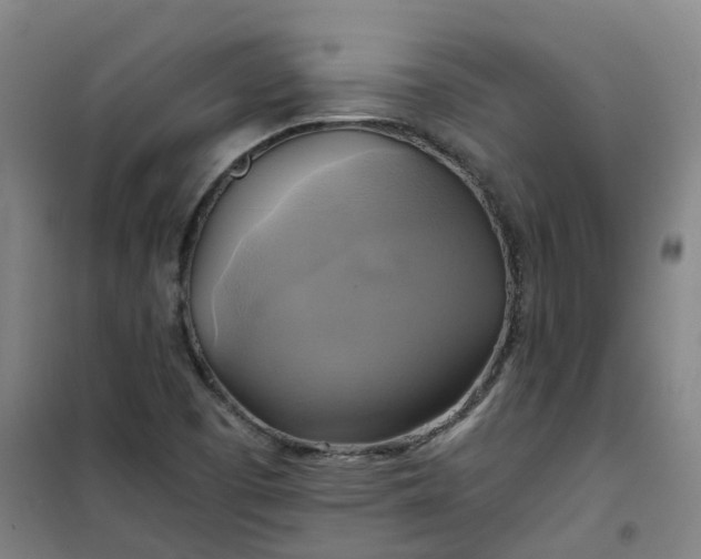 X0000101161457200807111017