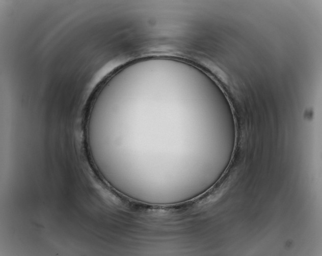 X0000101161458200807111017