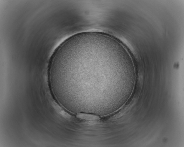 X0000101161460200807111017