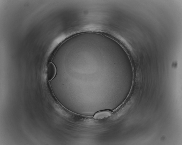 X0000101161461200807111017