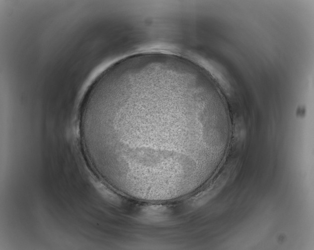 X0000101161462200807111017