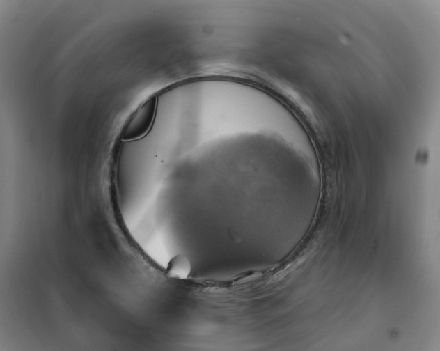 X0000101161463200807111017