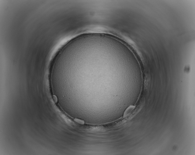 X0000101161464200807111017