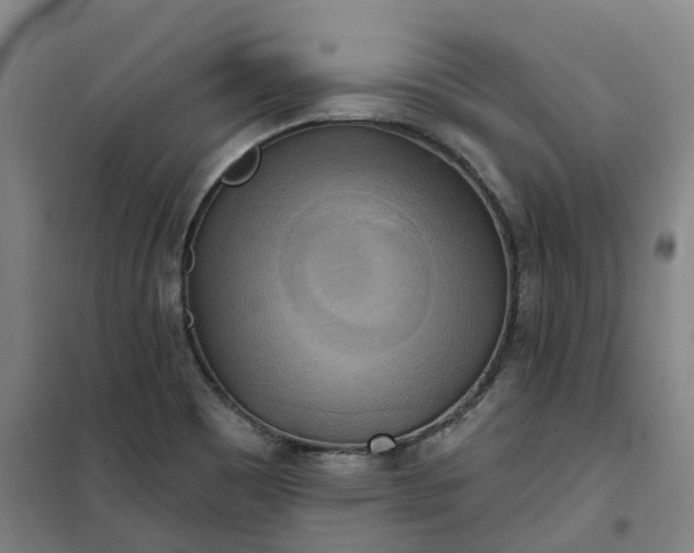 X0000101161465200807111017