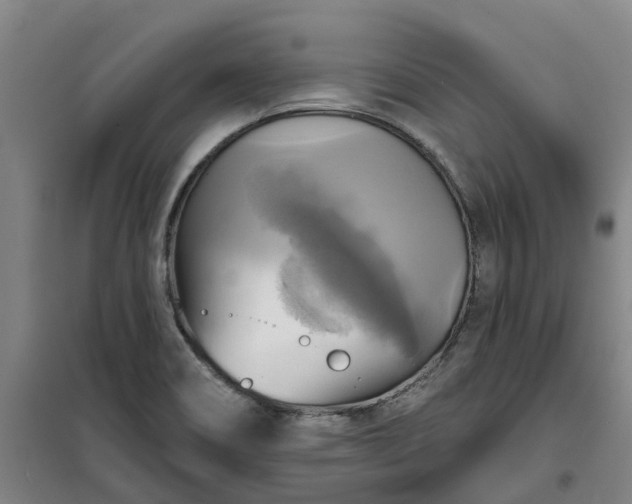 X0000101161466200807111017