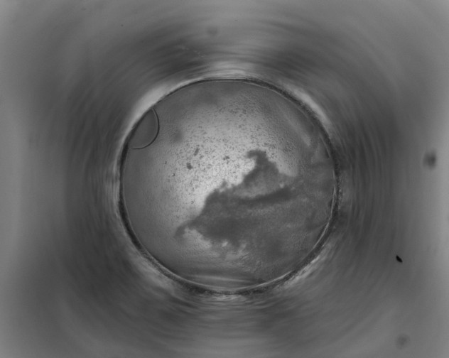 X0000101161467200807111017