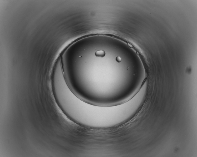 X0000101161468200807111017