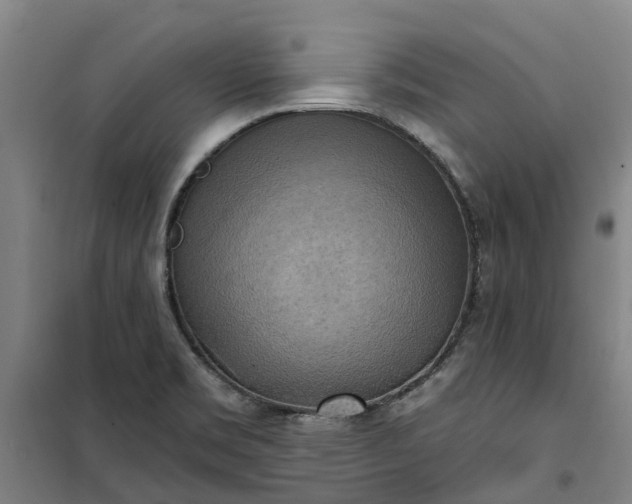 X0000101161469200807111017