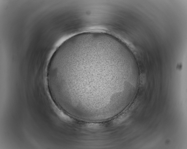 X0000101161470200807111017