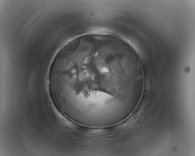 X0000101161471200807111017