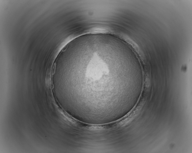 X0000101161473200807111017