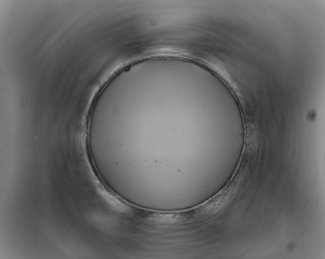 X0000101161474200807111017