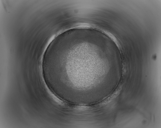 X0000101161475200807111017