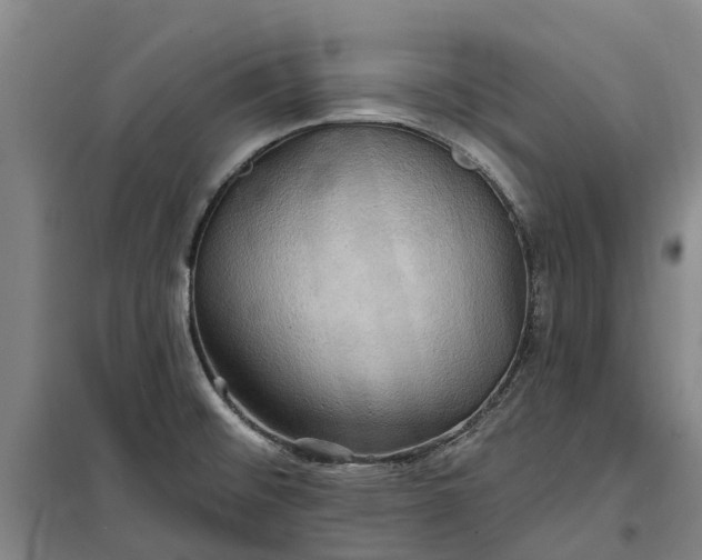 X0000101161476200807111017