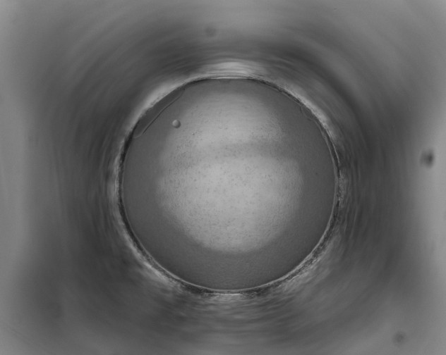 X0000101161477200807111017