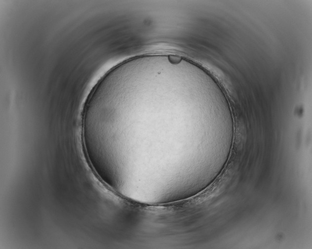 X0000101161478200807111017