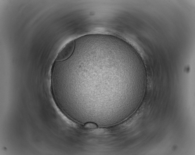 X0000101161479200807111017