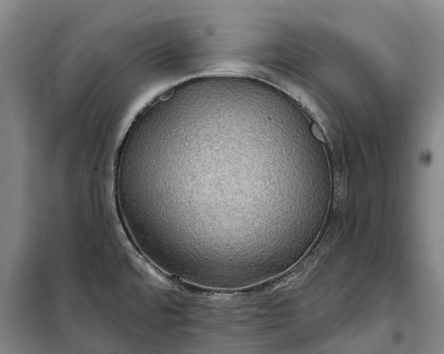 X0000101161480200807111017