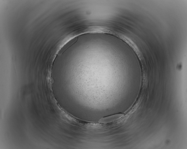 X0000101161481200807111017