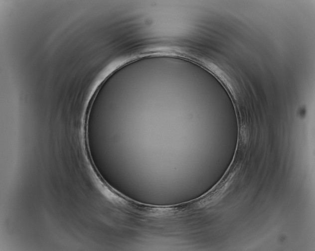 X0000101161482200807111017