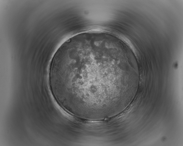 X0000101161483200807111017