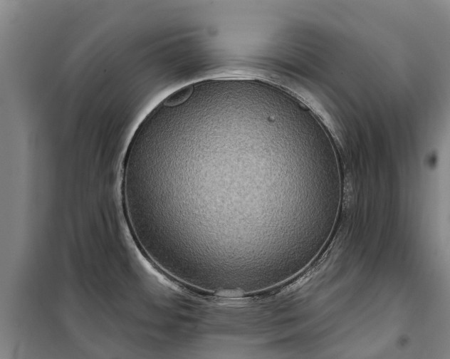 X0000101161484200807111017