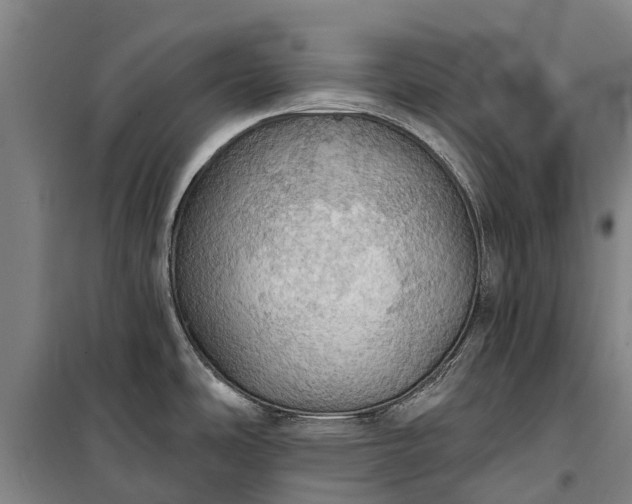 X0000101161486200807111017