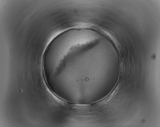 X0000101161487200807111017