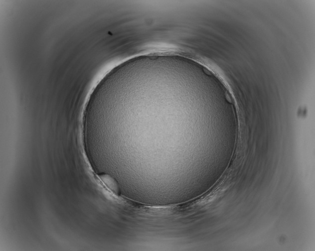 X0000101161488200807111017