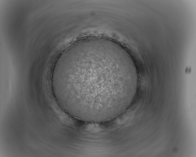 X0000101161489200807111016