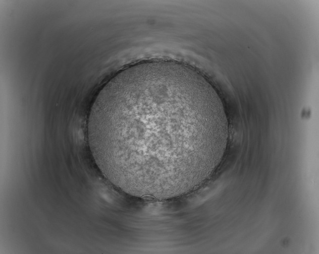 X0000101161490200807111016