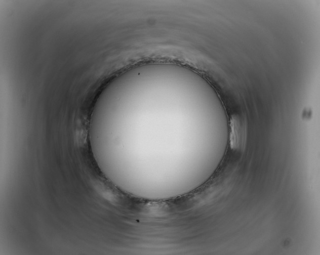 X0000101161491200807111016