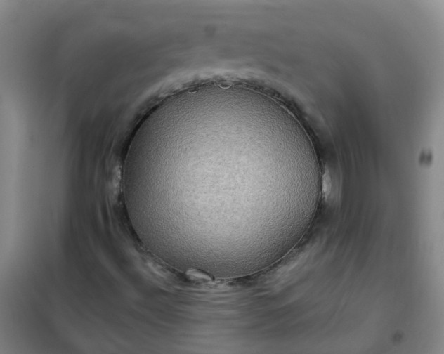 X0000101161492200807111016