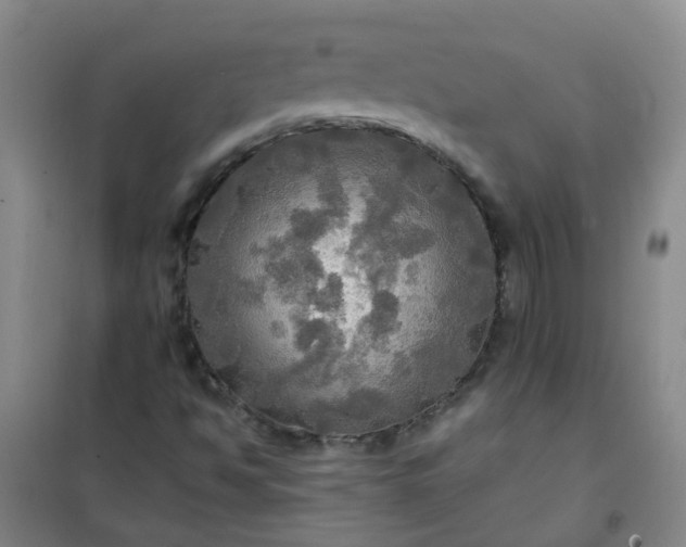 X0000101161494200807111016