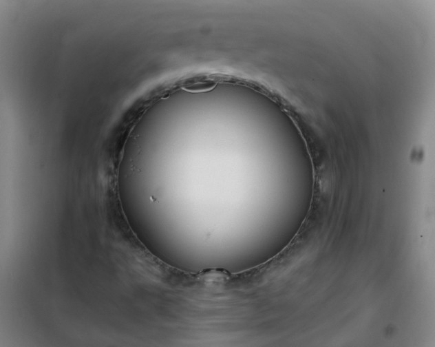 X0000101161495200807111016