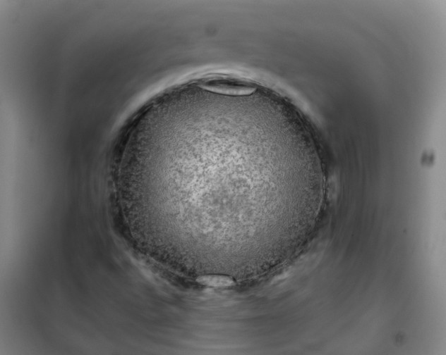 X0000101161496200807111016