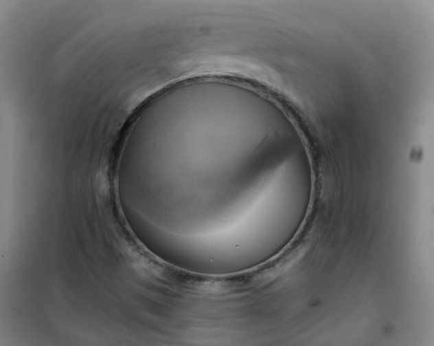 X0000101161497200807111016