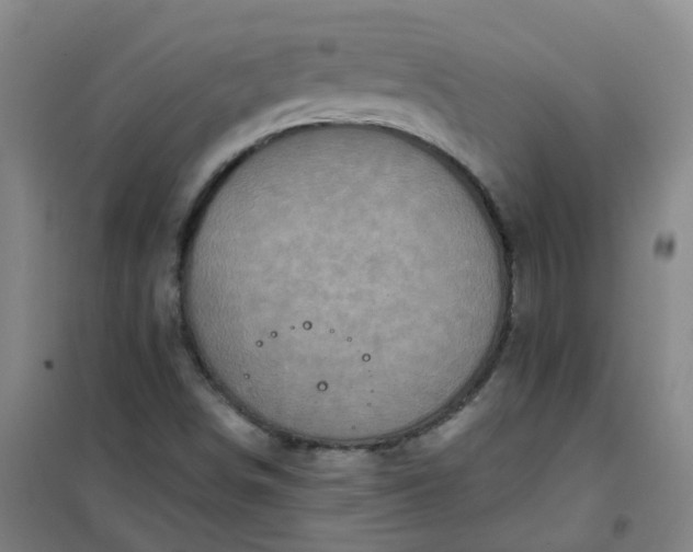 X0000101161498200807111016