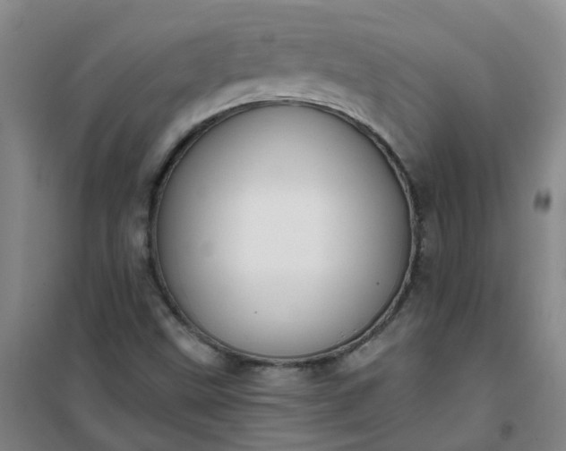 X0000101161499200807111016