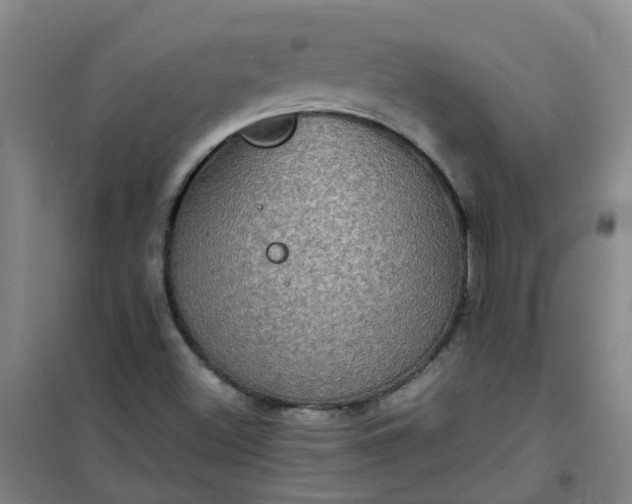 X0000101161500200807111016