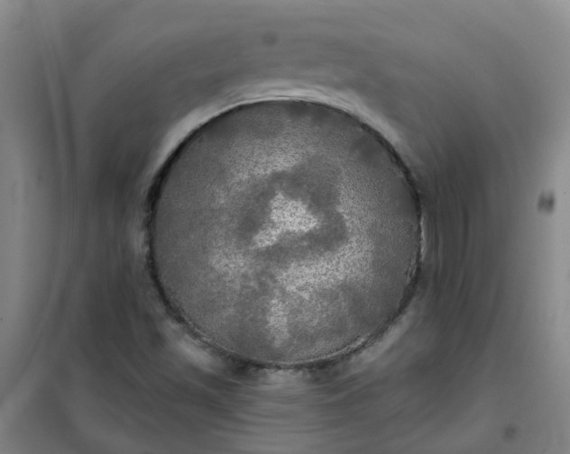 X0000101161501200807111016