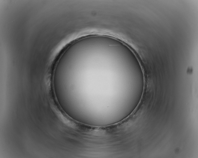 X0000101161503200807111016