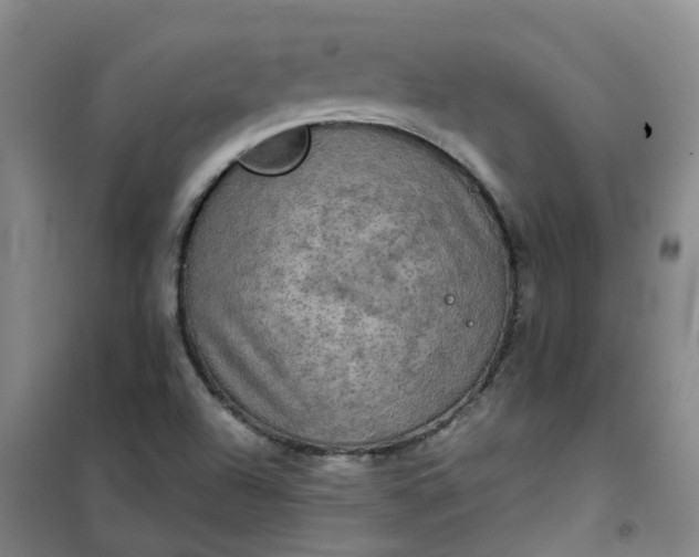 X0000101161504200807111016