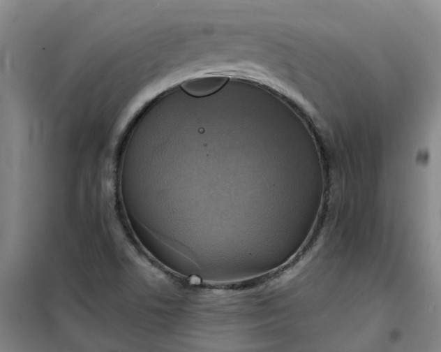 X0000101161506200807111016