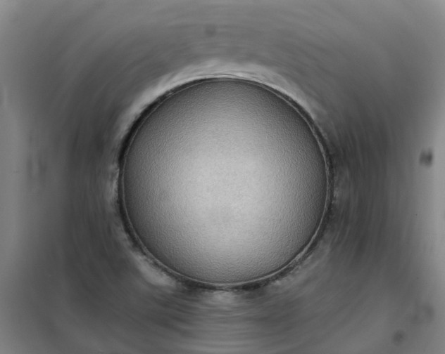 X0000101161507200807111016