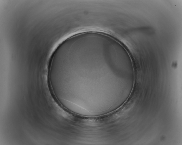 X0000101161508200807111016