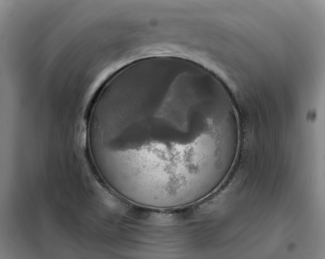 X0000101161509200807111016