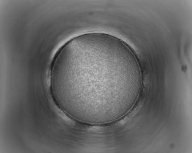 X0000101161510200807111016